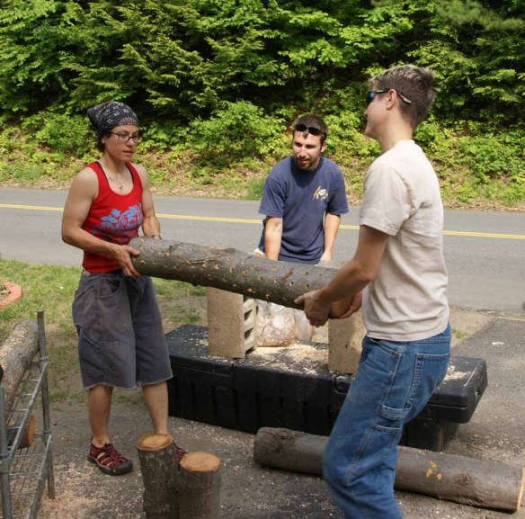 Sarah and Keja moving innoculated log