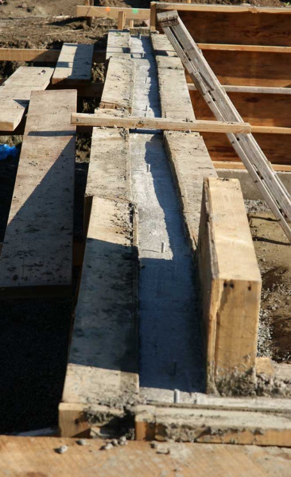 Top of stem wall the day after