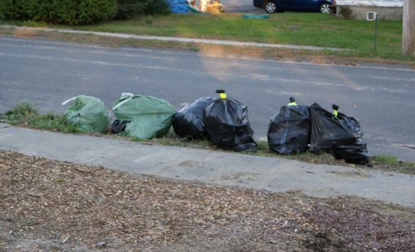 Five trash bags