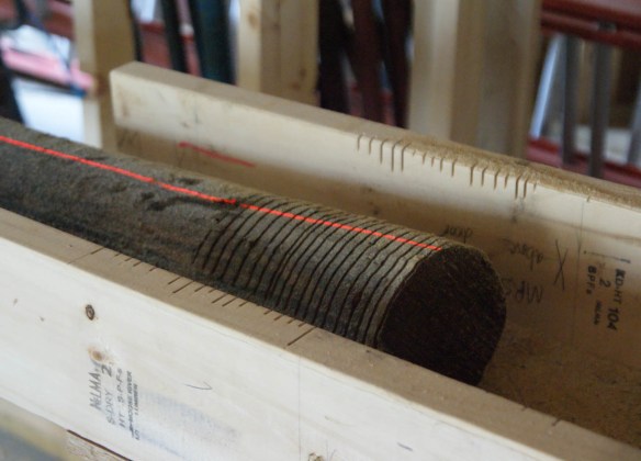 Kerfs on locust posts complete