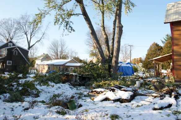greenfield-october-2011-snow-storm-damage