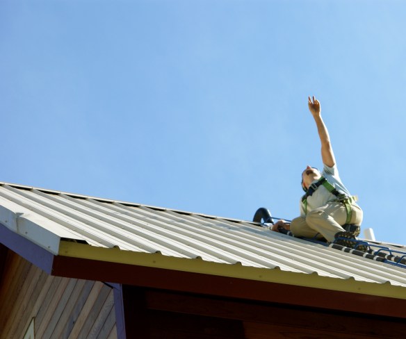 Pointing to which limb to take down.