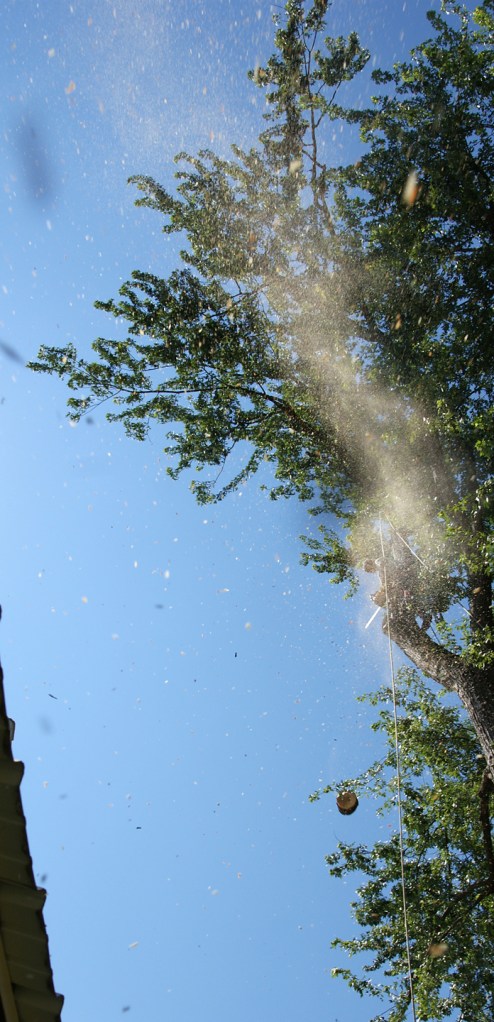 I have never been to a ticker tape parade with confetti, but I imagine this is what it is like.